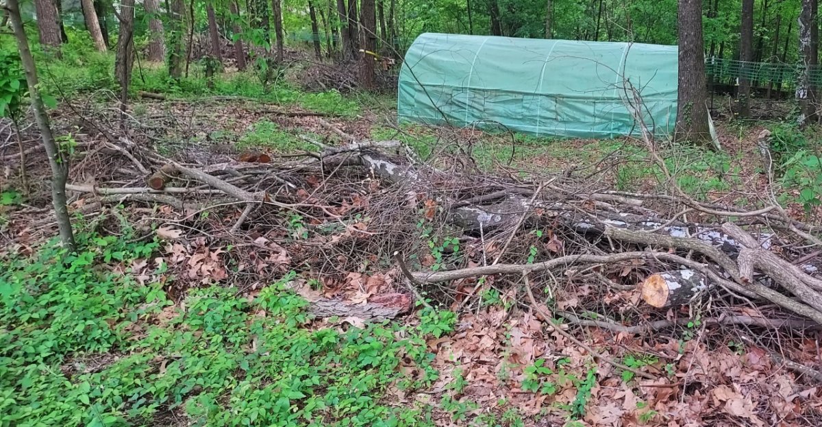 On Dead Hedges, Drainage, and Erosion Control 