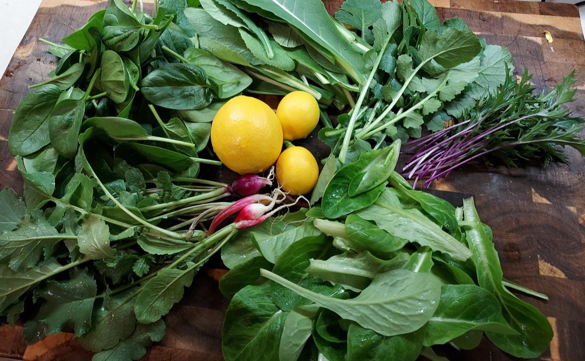 New Years greetings and a tasty farm-to-table meal