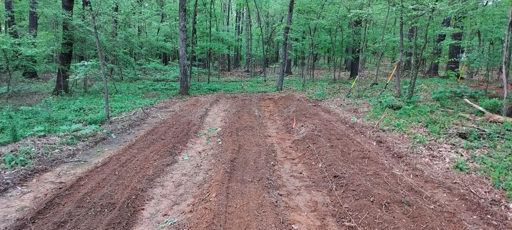 We're Having a Fall Plant Sale